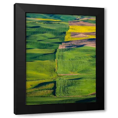 USA-Washington State-Palouse and Steptoe Butte State Park view of Wheat and Canola Black Modern Wood Framed Art Print with Double Matting by Gulin, Sylvia
