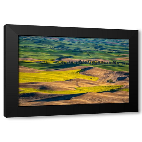 USA-Washington State-Palouse and Steptoe Butte State Park view of Wheat and Canola Black Modern Wood Framed Art Print by Gulin, Sylvia