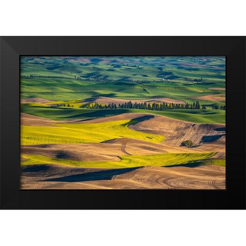 USA-Washington State-Palouse and Steptoe Butte State Park view of Wheat and Canola Black Modern Wood Framed Art Print by Gulin, Sylvia
