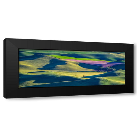USA-Washington State-Palouse and Steptoe Butte State Park view of Wheat and Canola Black Modern Wood Framed Art Print with Double Matting by Gulin, Sylvia