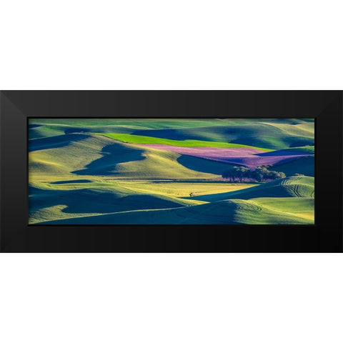 USA-Washington State-Palouse and Steptoe Butte State Park view of Wheat and Canola Black Modern Wood Framed Art Print by Gulin, Sylvia