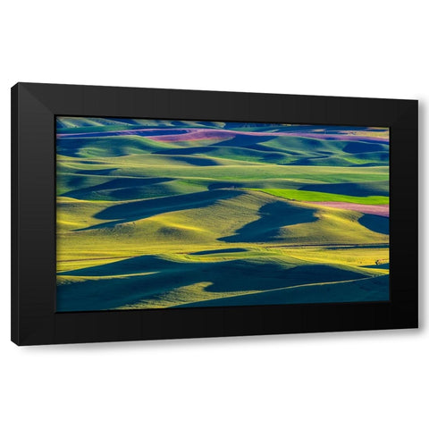 USA-Washington State-Palouse and Steptoe Butte State Park view of Wheat and Canola Black Modern Wood Framed Art Print by Gulin, Sylvia