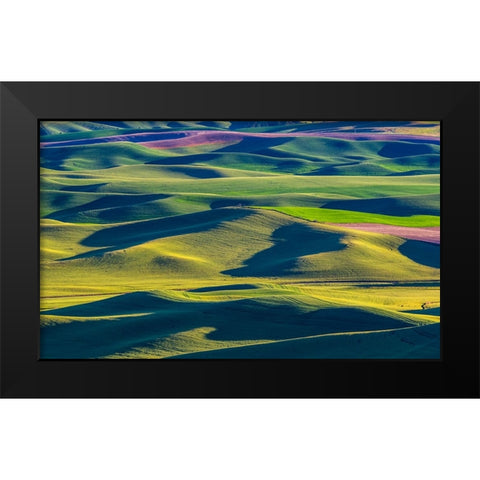 USA-Washington State-Palouse and Steptoe Butte State Park view of Wheat and Canola Black Modern Wood Framed Art Print by Gulin, Sylvia