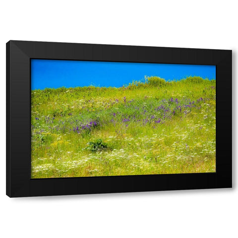 USA-Washington State-Palouse grass fields that were not being farmed Black Modern Wood Framed Art Print by Gulin, Sylvia