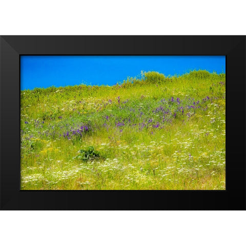 USA-Washington State-Palouse grass fields that were not being farmed Black Modern Wood Framed Art Print by Gulin, Sylvia
