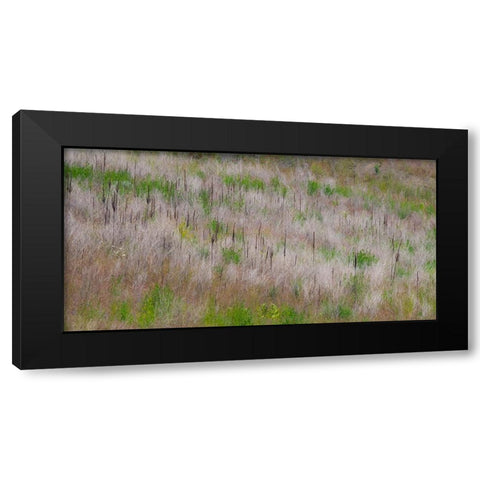 USA-Washington State-Palouse grass fields that were not being farmed Black Modern Wood Framed Art Print with Double Matting by Gulin, Sylvia