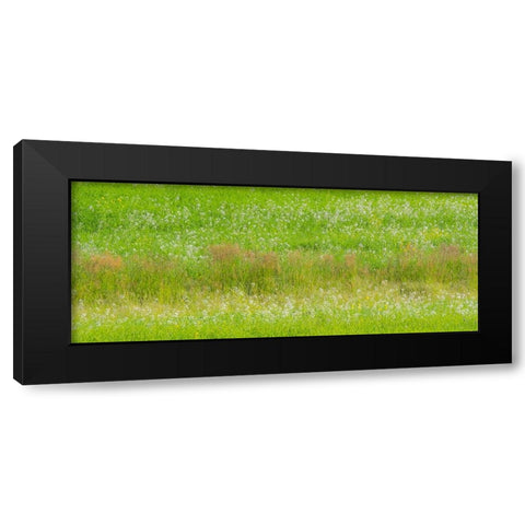 USA-Washington State-Palouse grass fields that were not being farmed Black Modern Wood Framed Art Print by Gulin, Sylvia