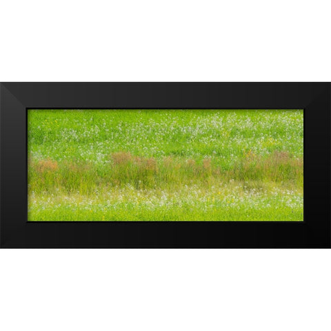 USA-Washington State-Palouse grass fields that were not being farmed Black Modern Wood Framed Art Print by Gulin, Sylvia