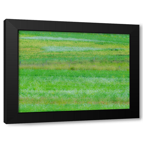 USA-Washington State-Palouse grass fields that were not being farmed Black Modern Wood Framed Art Print with Double Matting by Gulin, Sylvia