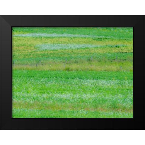 USA-Washington State-Palouse grass fields that were not being farmed Black Modern Wood Framed Art Print by Gulin, Sylvia