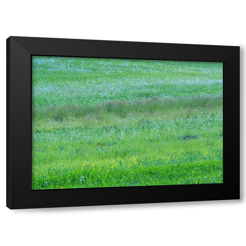 USA-Washington State-Palouse grass fields that were not being farmed Black Modern Wood Framed Art Print by Gulin, Sylvia