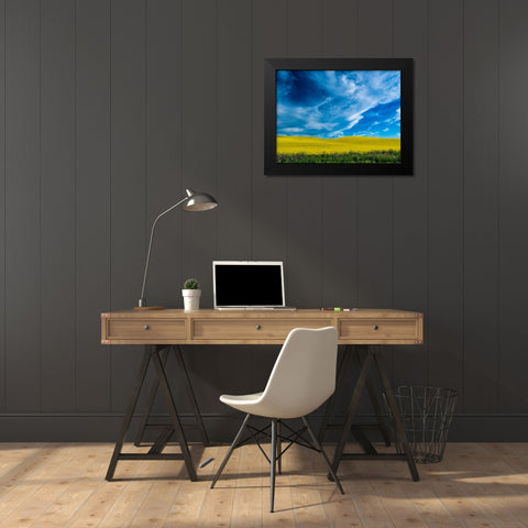 USA-Washington State-Palouse and springtime crop of Canola Black Modern Wood Framed Art Print by Gulin, Sylvia