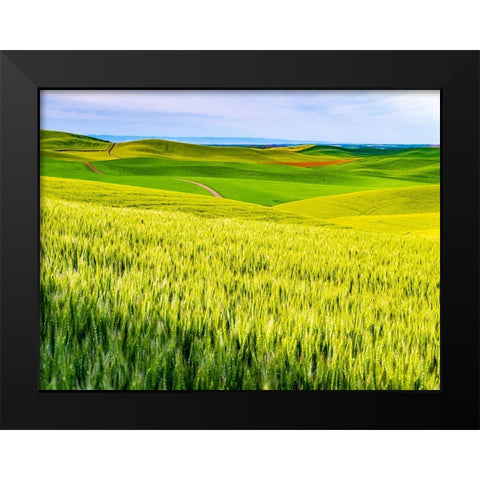USA-Washington State-Palouse overview of wheat fields from above Black Modern Wood Framed Art Print by Gulin, Sylvia