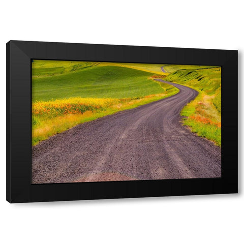 USA-Washington State-Palouse with gravel curved road edged with Poppies and Yellow Canola Black Modern Wood Framed Art Print with Double Matting by Gulin, Sylvia