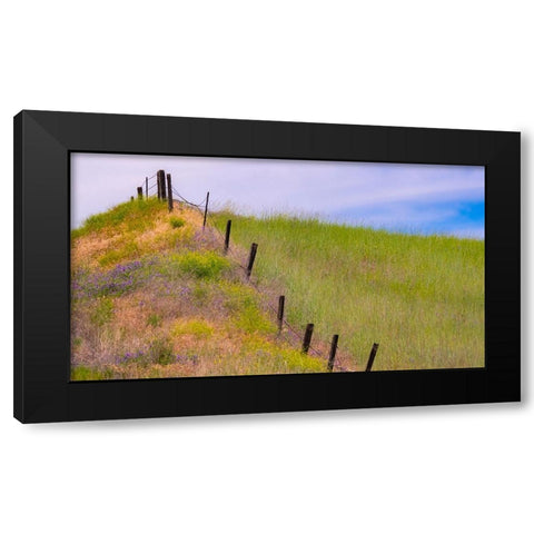 USA-Washington State-Palouse fence line near Winona with vetch and grasses Black Modern Wood Framed Art Print by Gulin, Sylvia