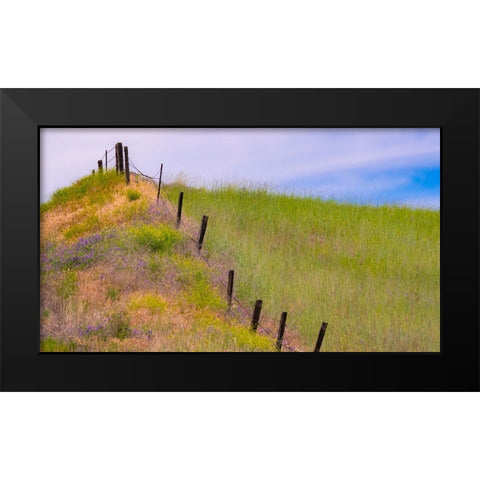 USA-Washington State-Palouse fence line near Winona with vetch and grasses Black Modern Wood Framed Art Print by Gulin, Sylvia