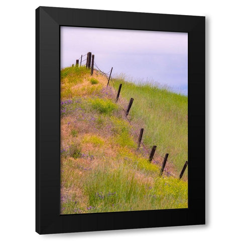 USA-Washington State-Palouse fence line near Winona with vetch and grasses Black Modern Wood Framed Art Print by Gulin, Sylvia