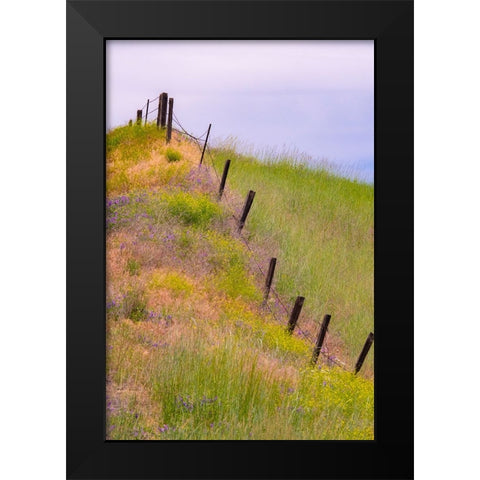 USA-Washington State-Palouse fence line near Winona with vetch and grasses Black Modern Wood Framed Art Print by Gulin, Sylvia