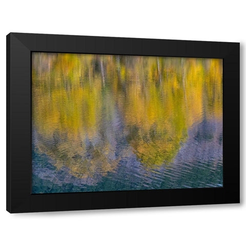 USA-Washington State-Easton and fall colors of Cottonwoods in small pond Black Modern Wood Framed Art Print with Double Matting by Gulin, Sylvia