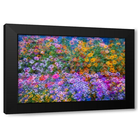 USA-Washington State-Pacific Northwest-Sammamish colorful flowers and blue picket fence Black Modern Wood Framed Art Print with Double Matting by Gulin, Sylvia
