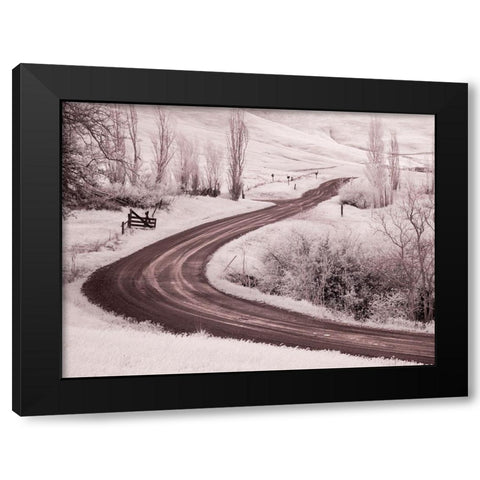 Backroad leading through Spring wildflowers Black Modern Wood Framed Art Print by Eggers, Terry