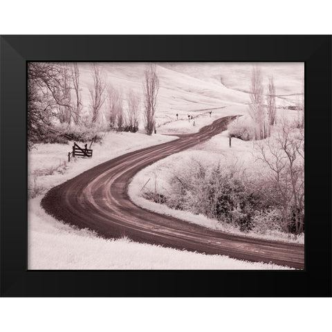 Backroad leading through Spring wildflowers Black Modern Wood Framed Art Print by Eggers, Terry