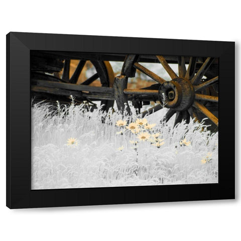 Wagon wheels with Spring wildflowers Black Modern Wood Framed Art Print by Eggers, Terry