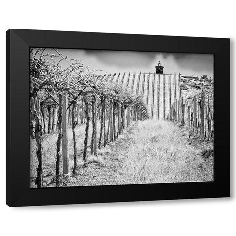 Spring vineyard and chapel on top of hill (PR) Black Modern Wood Framed Art Print by Eggers, Terry