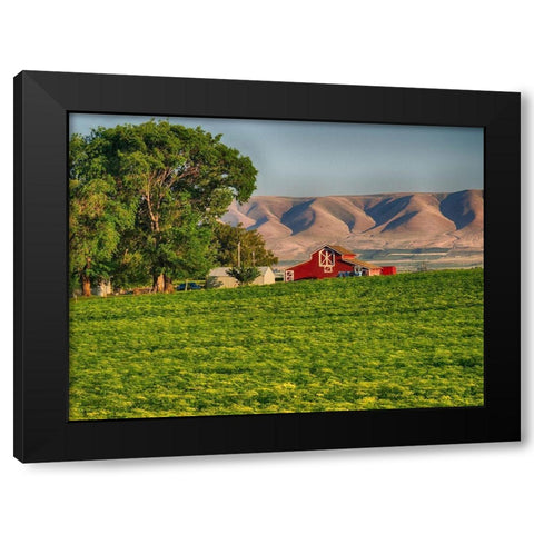 Evening light on red barn Black Modern Wood Framed Art Print with Double Matting by Eggers, Terry