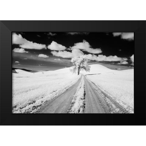 USA-Washington State-Lone along Country backroad in wheat Field Black Modern Wood Framed Art Print by Eggers, Terry