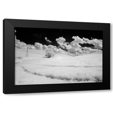 USA-Washington State-Lone tree in field of wheat Black Modern Wood Framed Art Print by Eggers, Terry