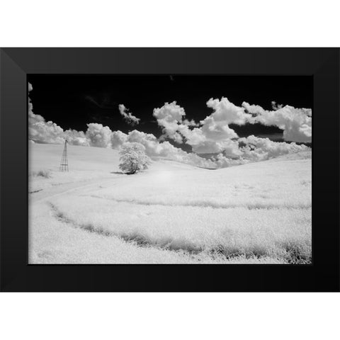 USA-Washington State-Lone tree in field of wheat Black Modern Wood Framed Art Print by Eggers, Terry
