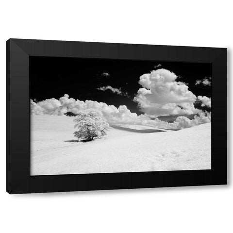 USA-Washington State-Lone tree in field of wheat Black Modern Wood Framed Art Print with Double Matting by Eggers, Terry