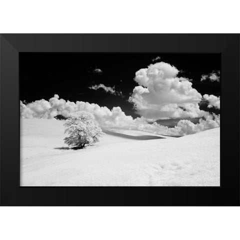 USA-Washington State-Lone tree in field of wheat Black Modern Wood Framed Art Print by Eggers, Terry