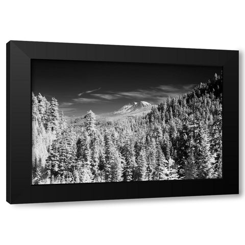 USA-Washington State-Mt-Rainier viewed from the South Black Modern Wood Framed Art Print by Eggers, Terry