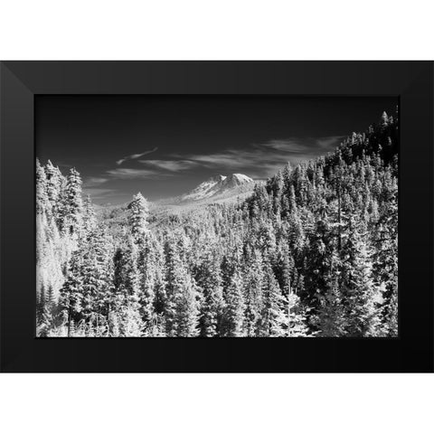 USA-Washington State-Mt-Rainier viewed from the South Black Modern Wood Framed Art Print by Eggers, Terry