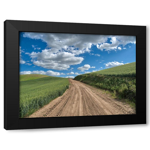 USA-Washington State-Palouse-Country Backroad through Spring wheat fields Black Modern Wood Framed Art Print with Double Matting by Eggers, Terry