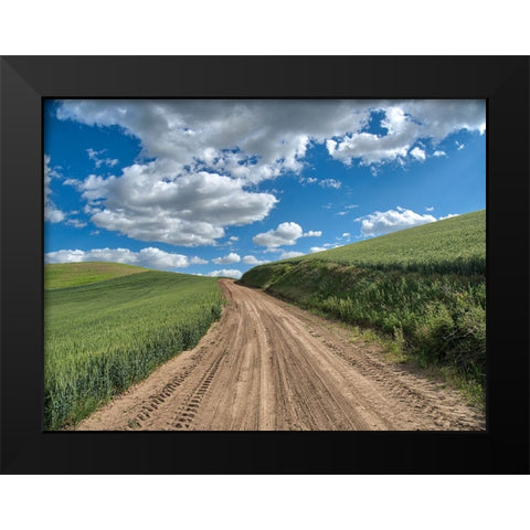 USA-Washington State-Palouse-Country Backroad through Spring wheat fields Black Modern Wood Framed Art Print by Eggers, Terry