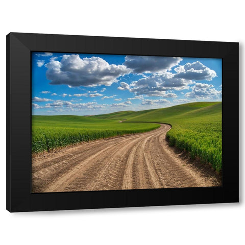 USA-Washington State-Palouse-Country Backroad through Spring wheat fields Black Modern Wood Framed Art Print by Eggers, Terry