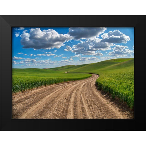 USA-Washington State-Palouse-Country Backroad through Spring wheat fields Black Modern Wood Framed Art Print by Eggers, Terry