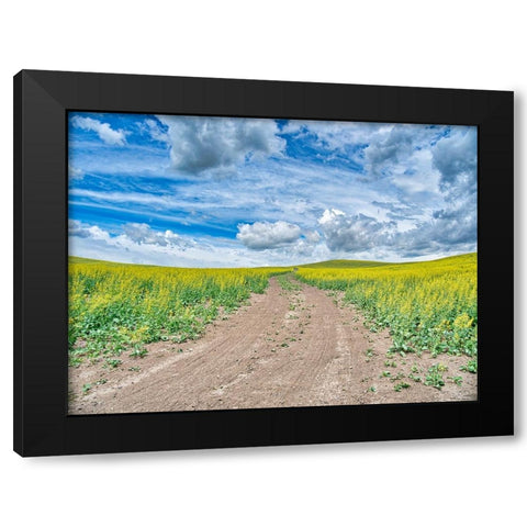 USA-Washington State-Palouse-Country Backroad through Spring canola fields Black Modern Wood Framed Art Print by Eggers, Terry