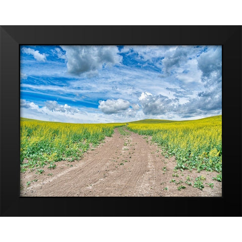 USA-Washington State-Palouse-Country Backroad through Spring canola fields Black Modern Wood Framed Art Print by Eggers, Terry