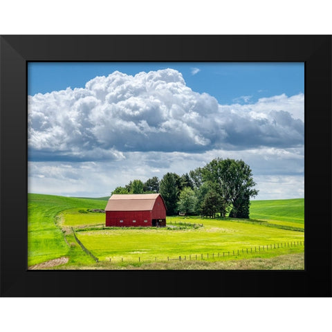 USA-Washington State-Palouse-Old Red barn with fresh green fields Black Modern Wood Framed Art Print by Eggers, Terry