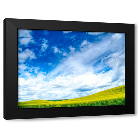 USA-Washington State-Palouse-Spring canola field with beautiful clouds Black Modern Wood Framed Art Print with Double Matting by Eggers, Terry