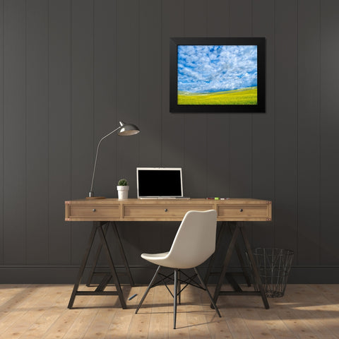 USA-Washington State-Palouse-Spring canola field with beautiful clouds Black Modern Wood Framed Art Print by Eggers, Terry