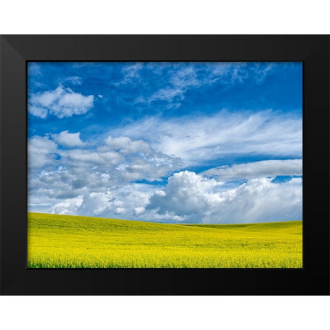 USA-Washington State-Palouse-Spring canola field with beautiful clouds Black Modern Wood Framed Art Print by Eggers, Terry