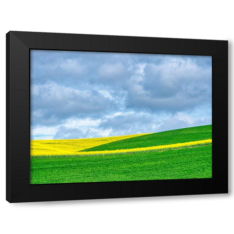 USA-Washington State-Palouse-Rolling hills of canola and wheat Black Modern Wood Framed Art Print with Double Matting by Eggers, Terry