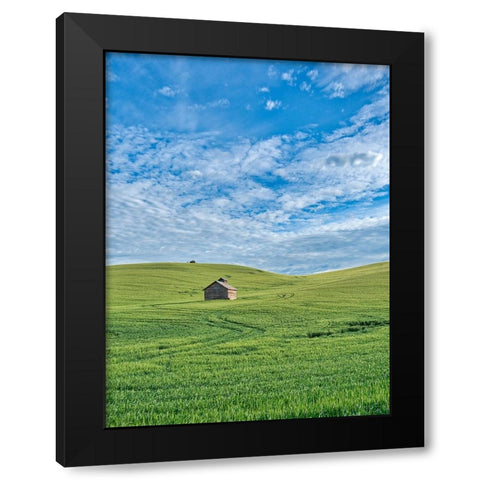 USA-Washington State-Small barn and tracks in wheat field Black Modern Wood Framed Art Print with Double Matting by Eggers, Terry