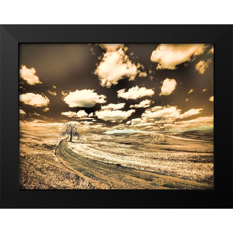 USA-Washington State-Palouse-Country backroad with lone tree Black Modern Wood Framed Art Print by Eggers, Terry