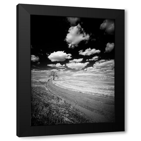 USA-Washington State-Palouse-Crops growing on the rolling hills of the Palouse Black Modern Wood Framed Art Print by Eggers, Terry
